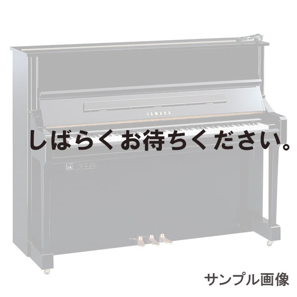 YAMAHA YS10SB　サイレント 中古　リニューアル・調整中 