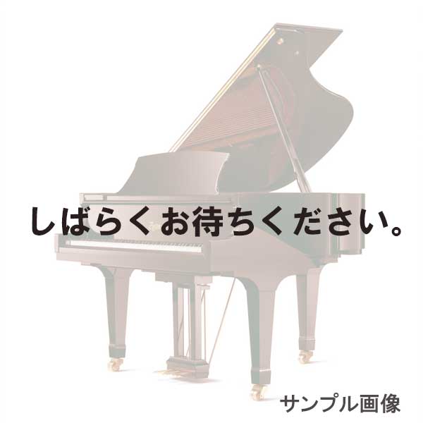 BOSTON GP163 中古　リニューアル・調整中 