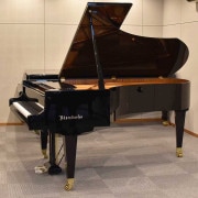 Bösendorfer Model 225