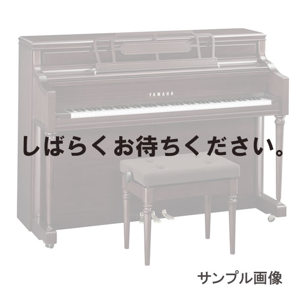 YAMAHA M2SDW