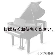KAWAI　GX-1