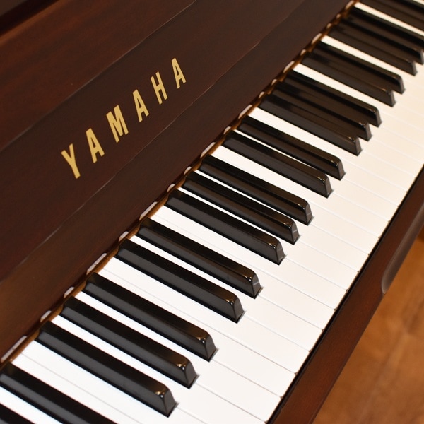YAMAHA YU3Sa