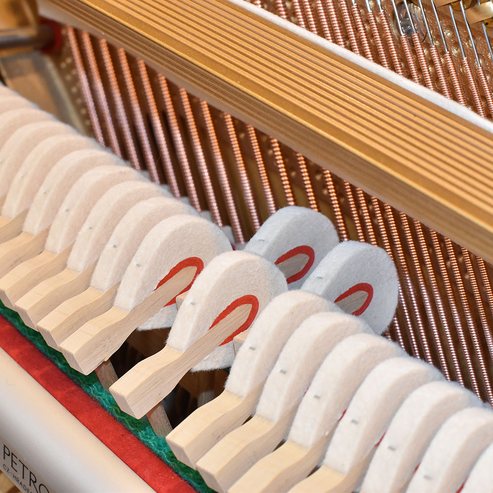 PETROF　P115-I CHIPPENDALE