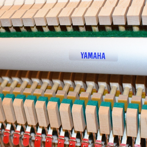 YAMAHA b113
