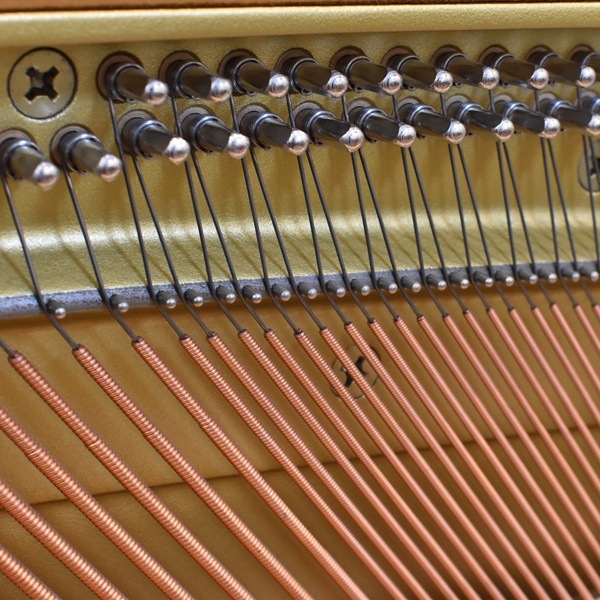 YAMAHA　W110WnC　サイレント