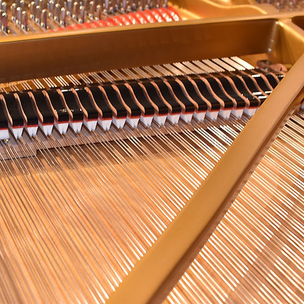 STEINWAY & SONS 　B-211