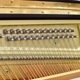 YAMAHA YU33