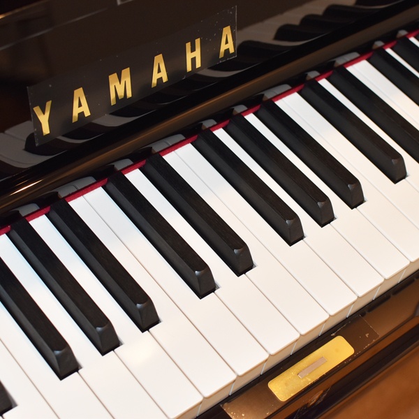 YAMAHA YUS5SG