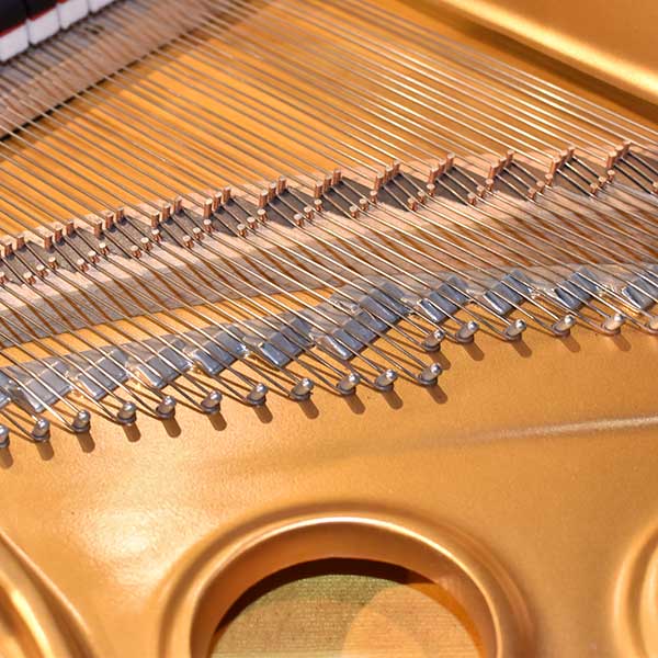 STEINWAY & SONS　 (NY)　 M-170