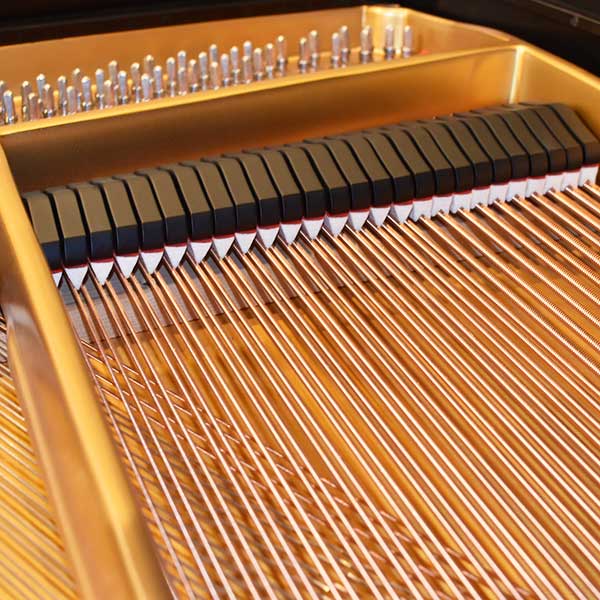STEINWAY & SONS　 (NY)　 M-170