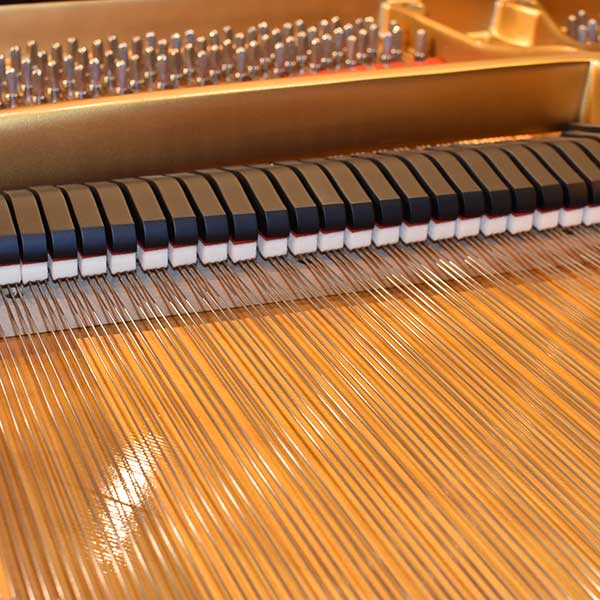 STEINWAY & SONS　 (NY)　 M-170