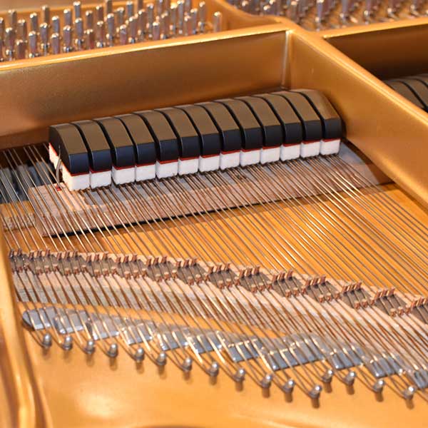 STEINWAY & SONS　 (NY)　 M-170