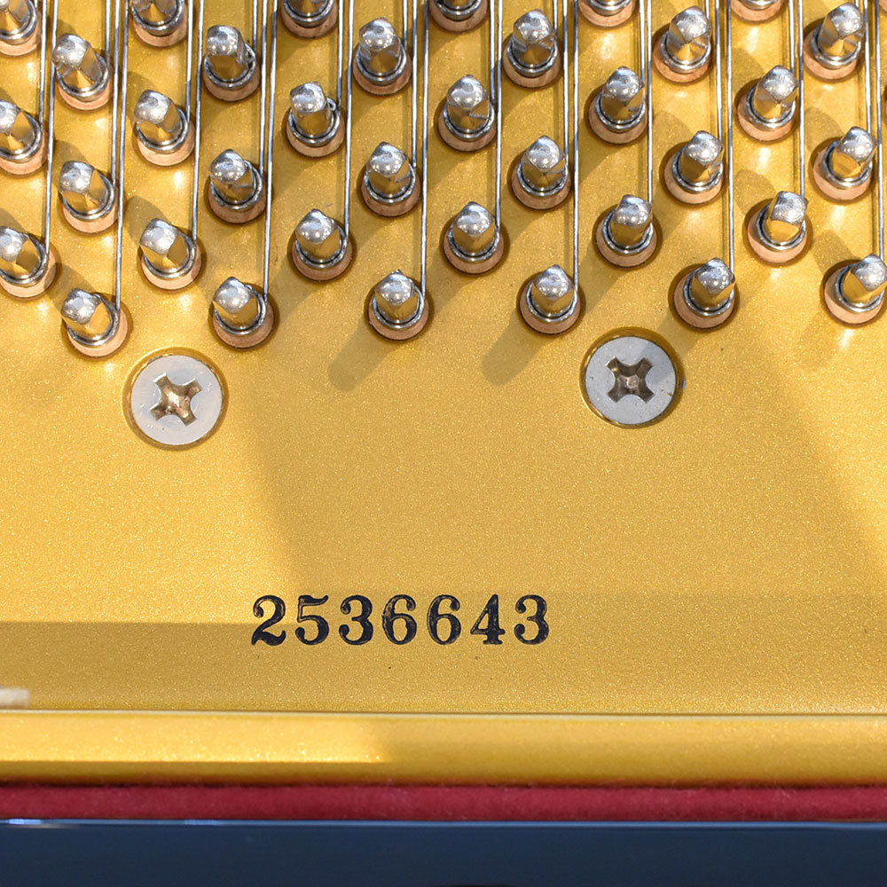 Shigeru Kawai SK-2