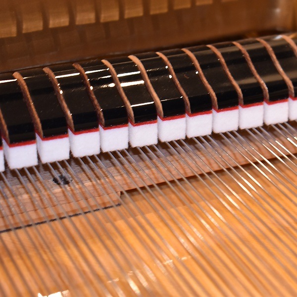 STEINWAY & SONS 　B-211