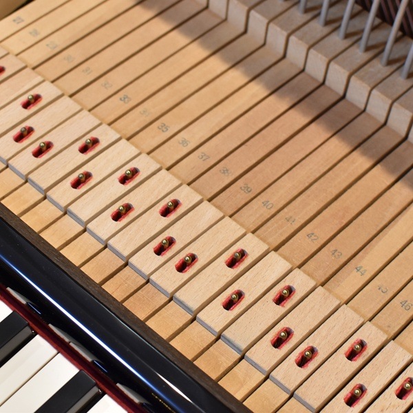 YAMAHA YU5