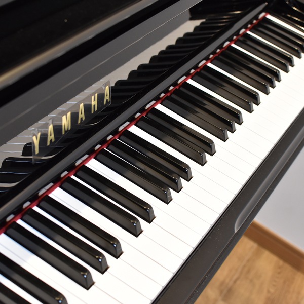 YAMAHA YU5