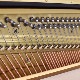 YAMAHA YU5