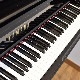 YAMAHA YU5