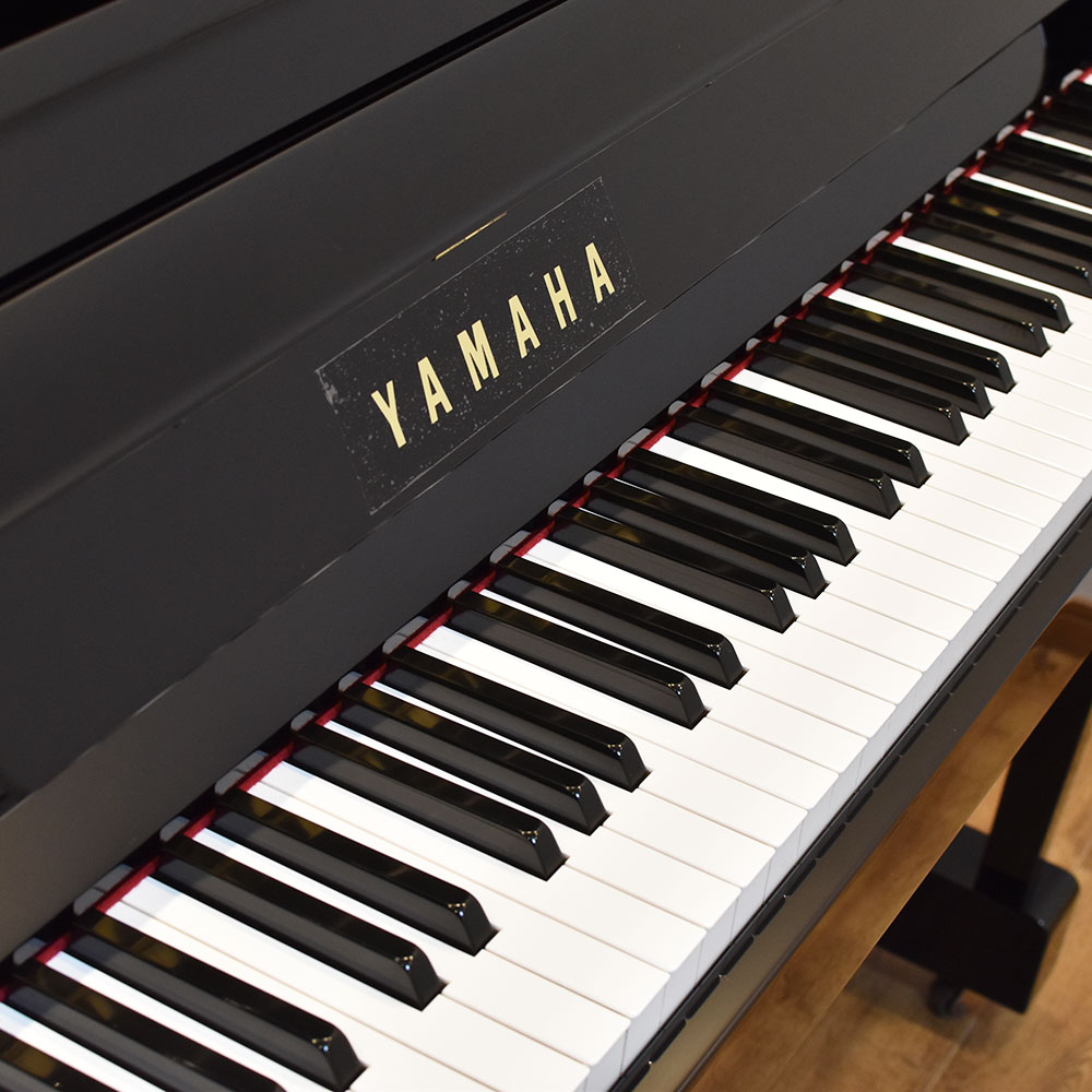 YAMAHA YM11