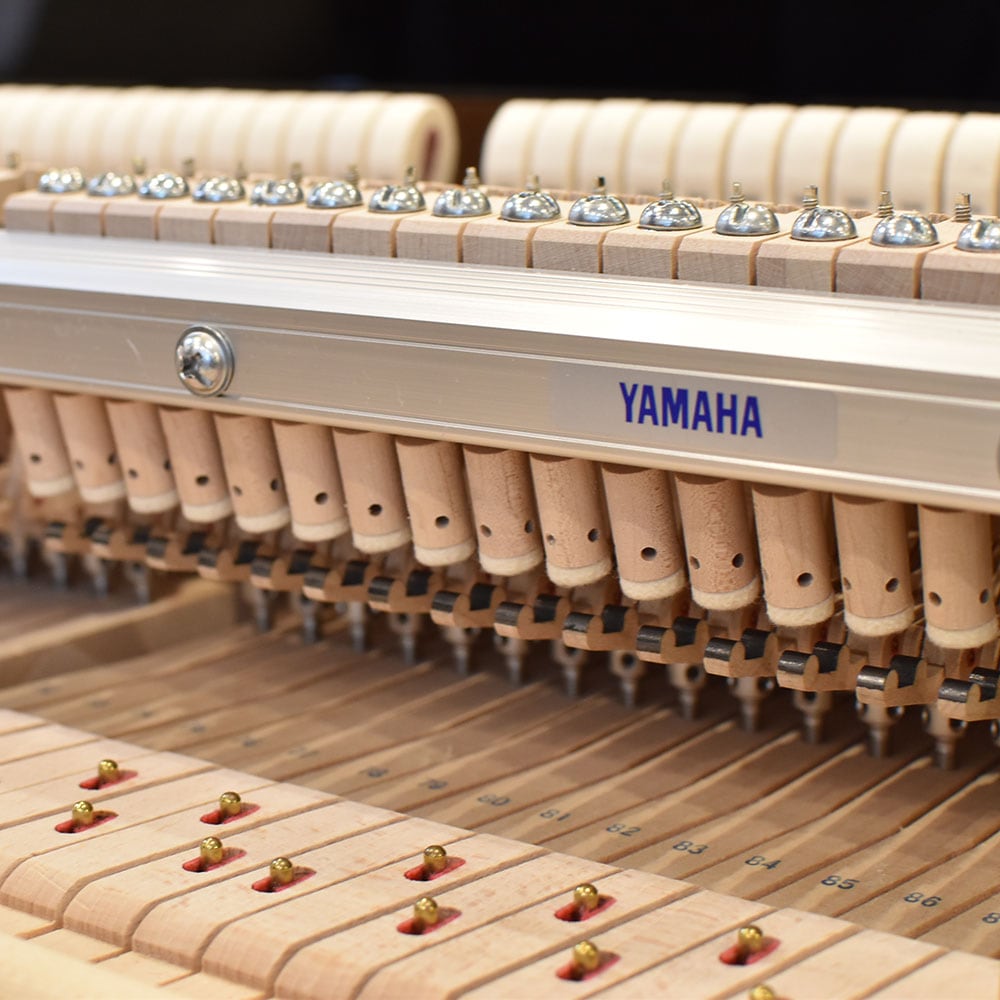 YAMAHA C3X espressivo