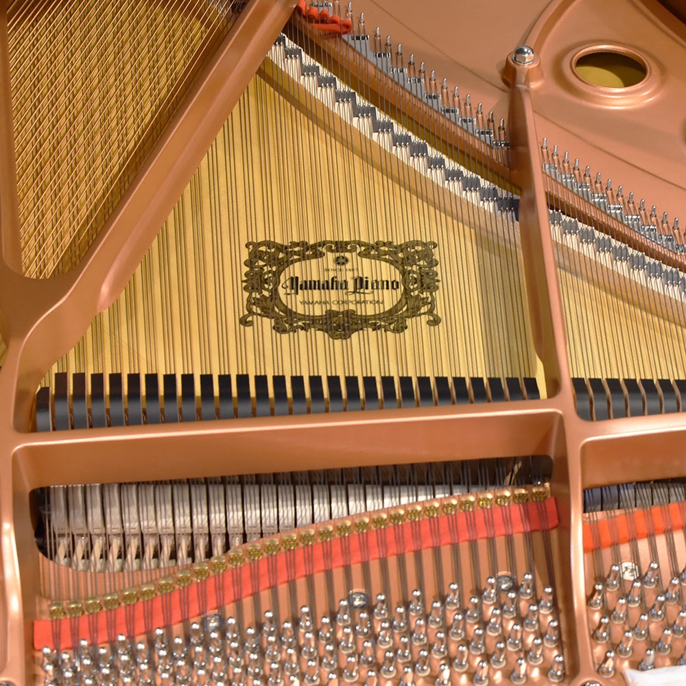 YAMAHA C3X espressivo