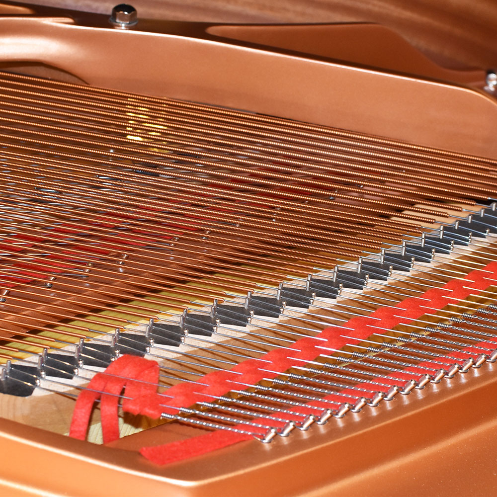 YAMAHA C3X espressivo