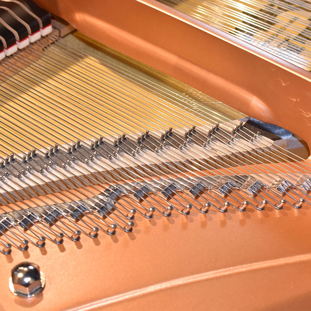 YAMAHA C3X espressivo