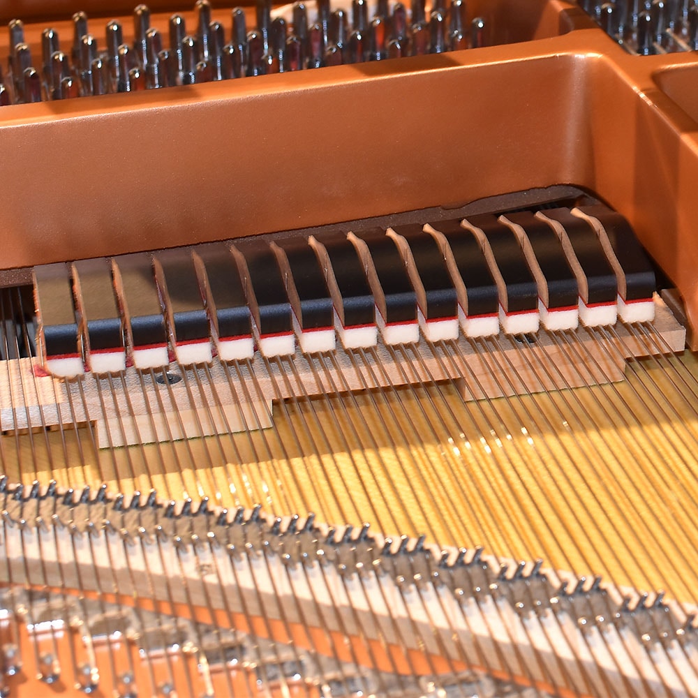 YAMAHA C3X espressivo