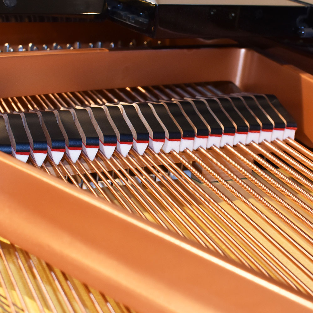 YAMAHA C3X espressivo