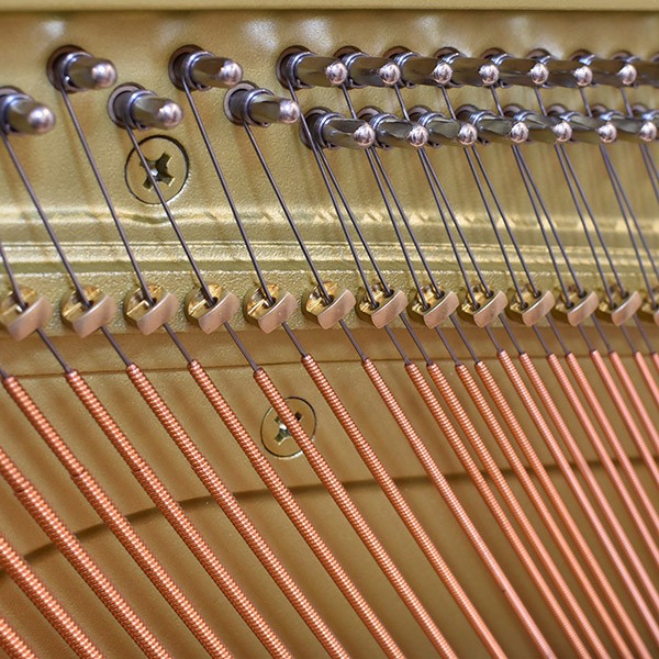YAMAHA YU50MhC-SEB★DKC850付き