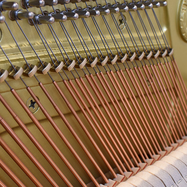 YAMAHA YU5Centennial-DKC850