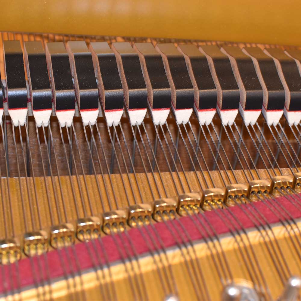 Shigeru Kawai SK-2