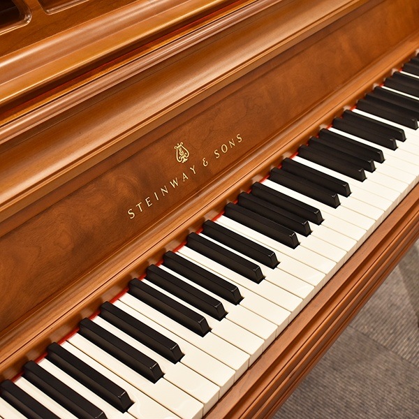 STEINWAY & SONS 　F40