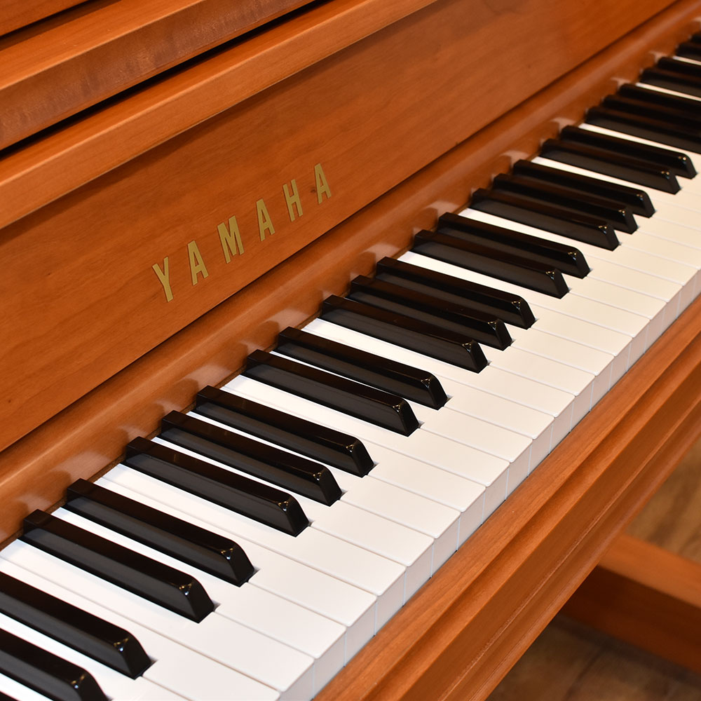 YAMAHA YF101C-SH2