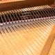 STEINWAY & SONS 　B-211