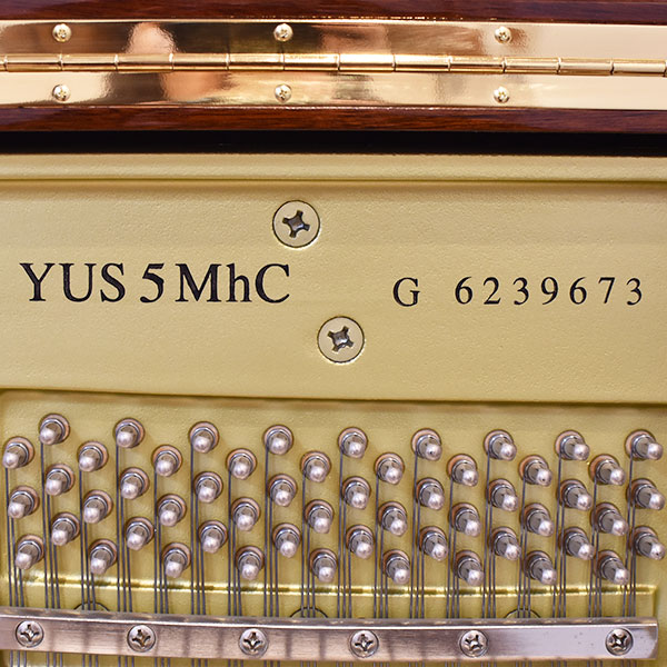 YAMAHA YUS5MhC-SG