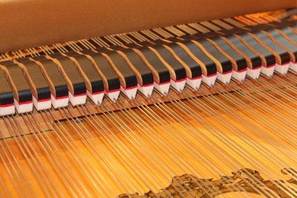 YAMAHA C1L