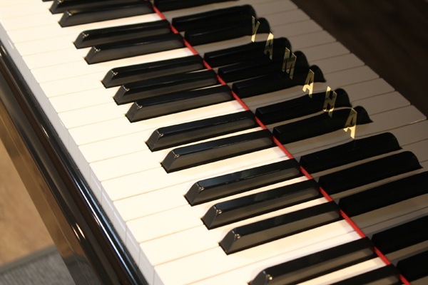 YAMAHA C1L