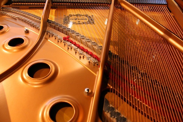 YAMAHA C1L
