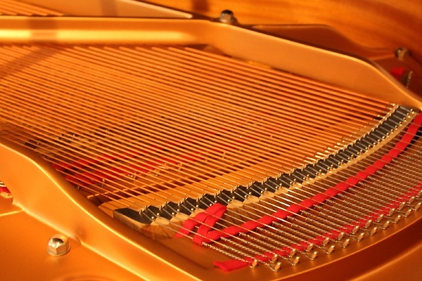 YAMAHA C1L
