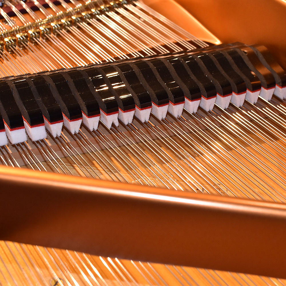 Bösendorfer Model 200