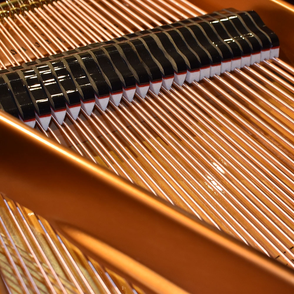 Bösendorfer Model 200