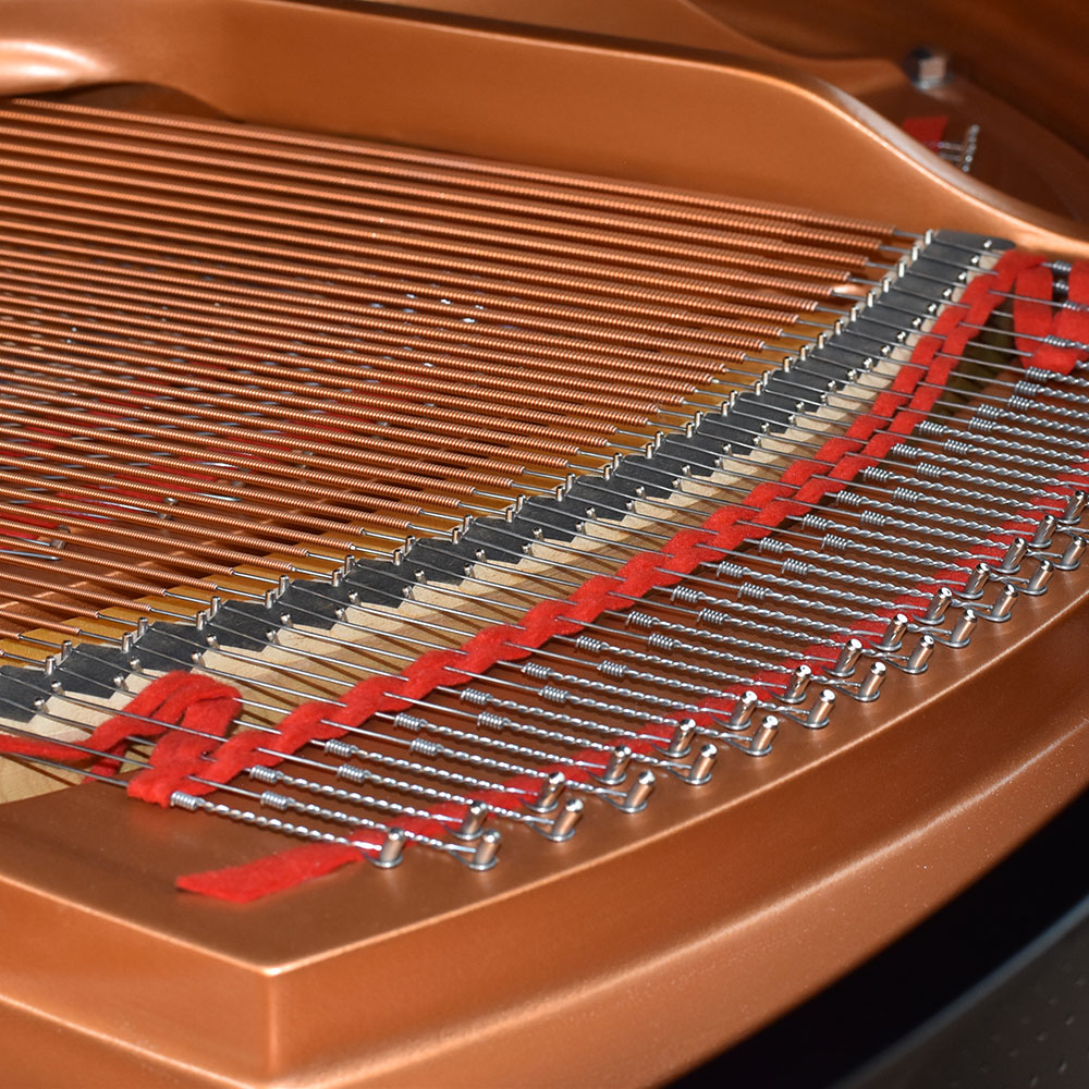 YAMAHA GC1SG