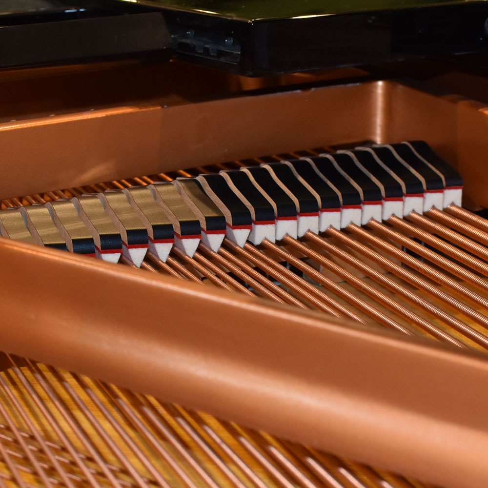YAMAHA GC1SG