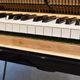 YAMAHA GC1SG