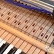YAMAHA GC1SG