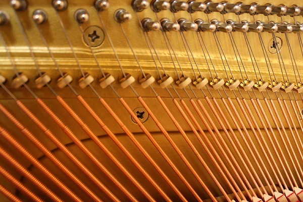 YAMAHA YU50SEB ディスクラビアDKC-850