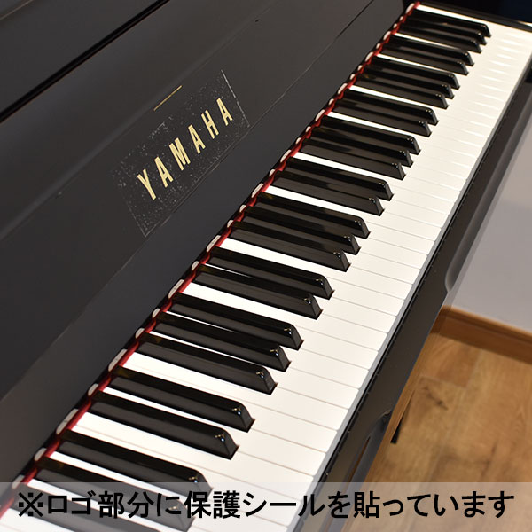 YAMAHA YU30SB サイレント