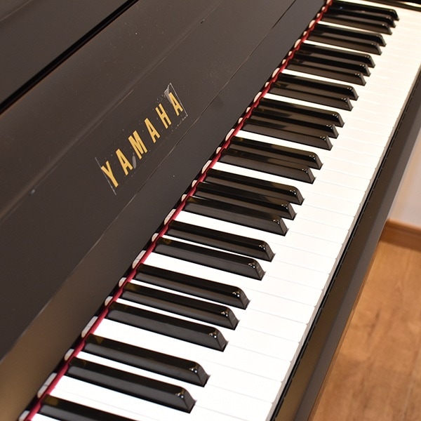 YAMAHA YU33