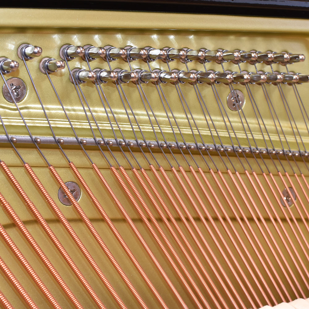 YAMAHA YUS5ENST